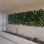 Vista A La Playa Del Cabrero